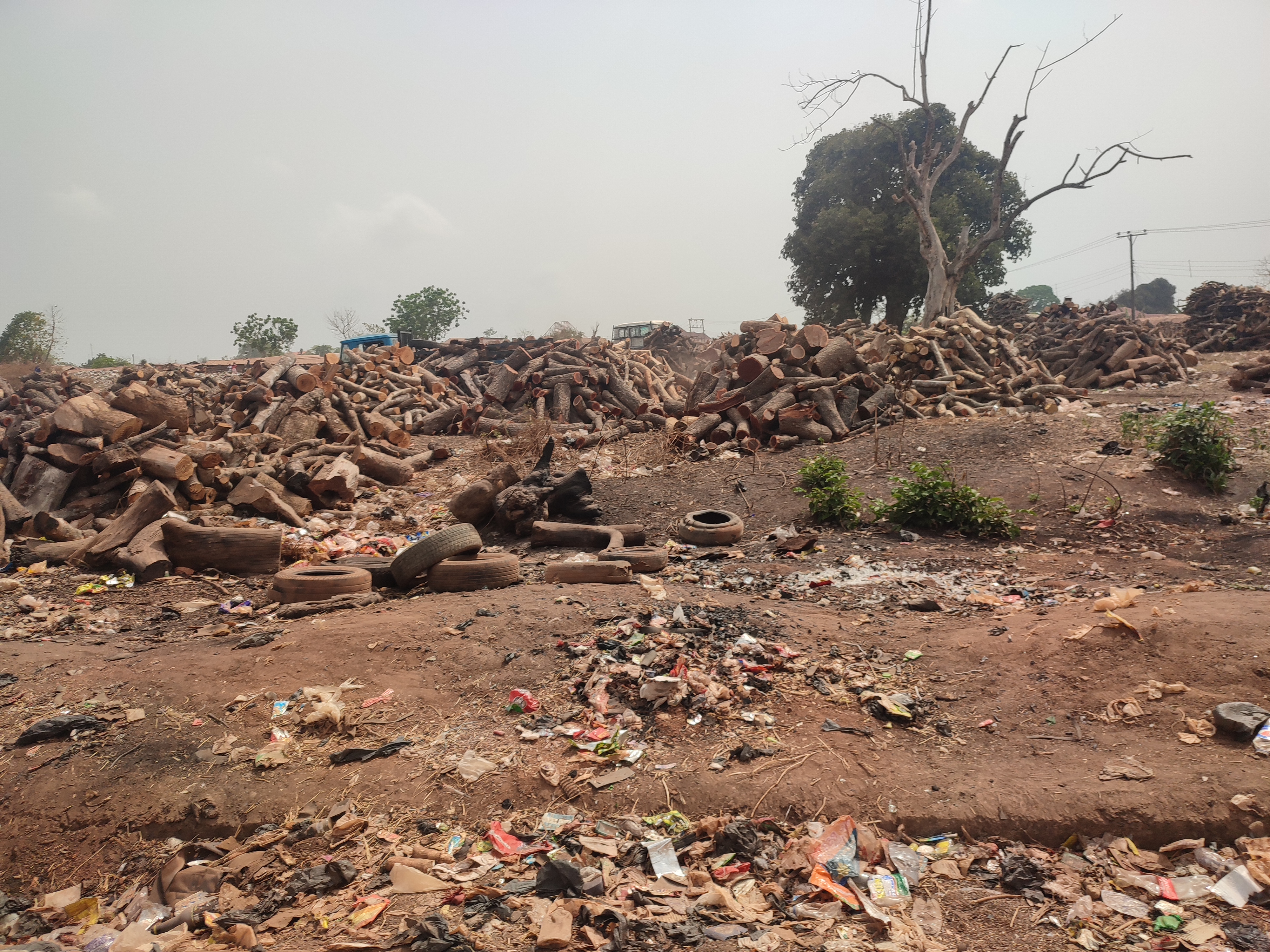 Special Report: Enugu— where cooking gas price and deforestation converge Image